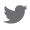 Twitter bird social media icon