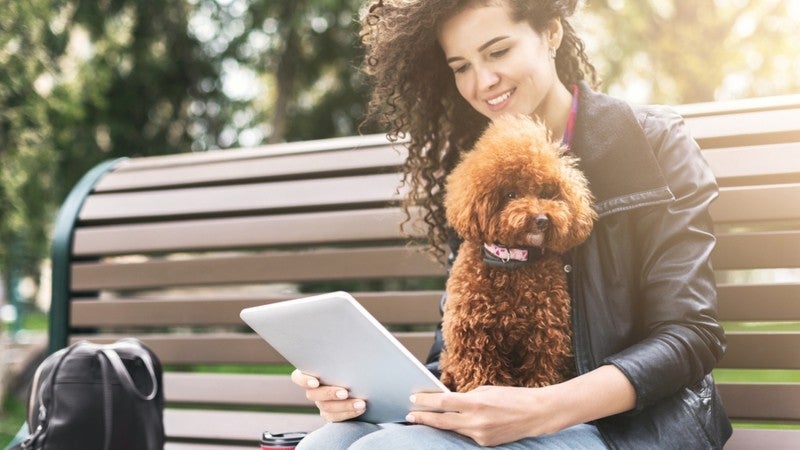 Woman sitting on a park bench with her dog and tablet.