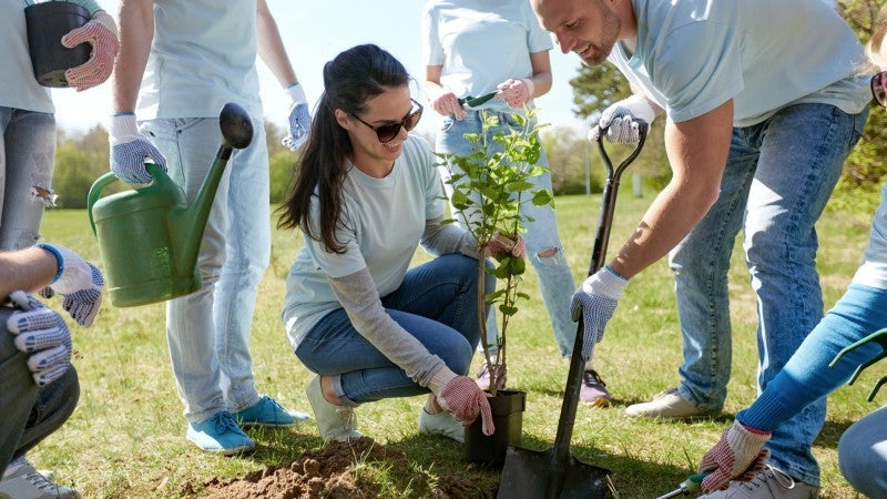Group of people planting a tree.
